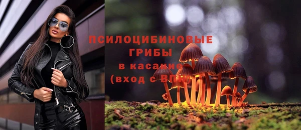 экстази Покачи