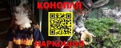 твердый Кингисепп