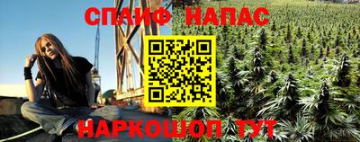 твердый Кингисепп