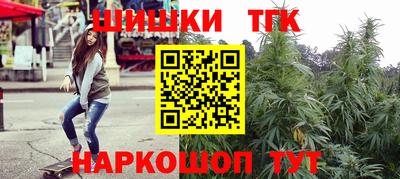 твердый Кингисепп