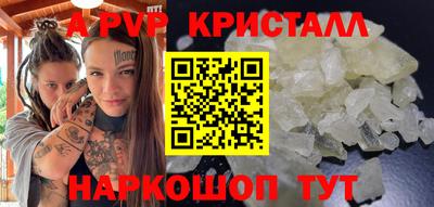 твердый Кингисепп