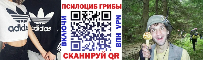 Псилоцибиновые грибы MAGIC MUSHROOMS  купить наркотики сайты  mega маркетплейс  Тавда 