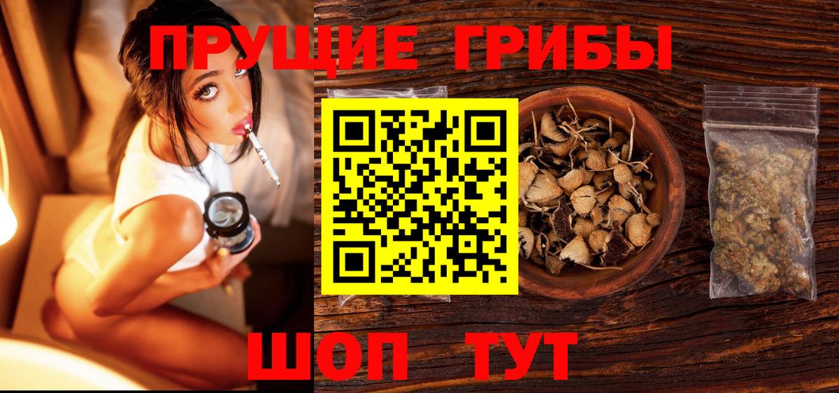 Псилоцибиновые грибы мицелий Тавда