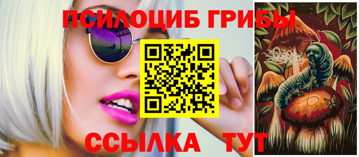 Галлюциногенные грибы Magic Shrooms  Вход с VPN  Тавда  Галлюциногенные грибы прущие грибы 