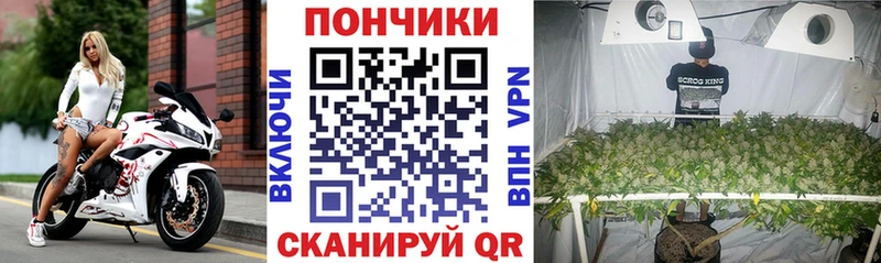 Шишки марихуана VHQ  где продают наркотики  Тавда 